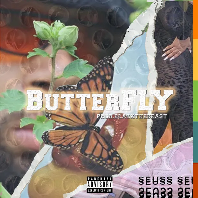 Butterfly