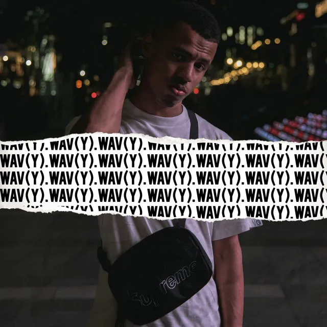 .Wav(y)