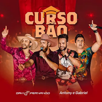 Curso Bão (Ao Vivo) by Davi e Fernando