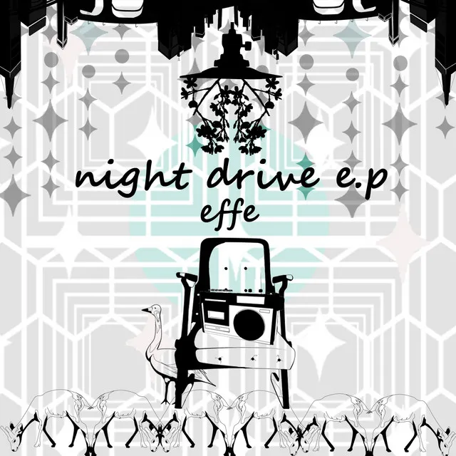 night drive