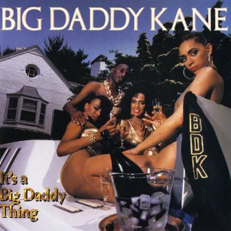 It's A Big Daddy Thing by Big Daddy Kane