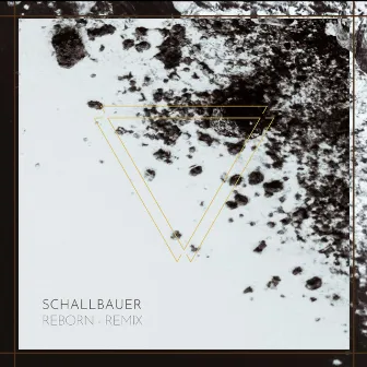 Reborn (Remix) by Schallbauer