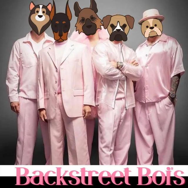 Backstreet Boi's