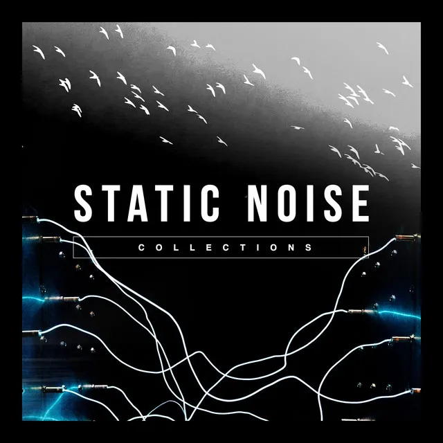 Static Noise Collections