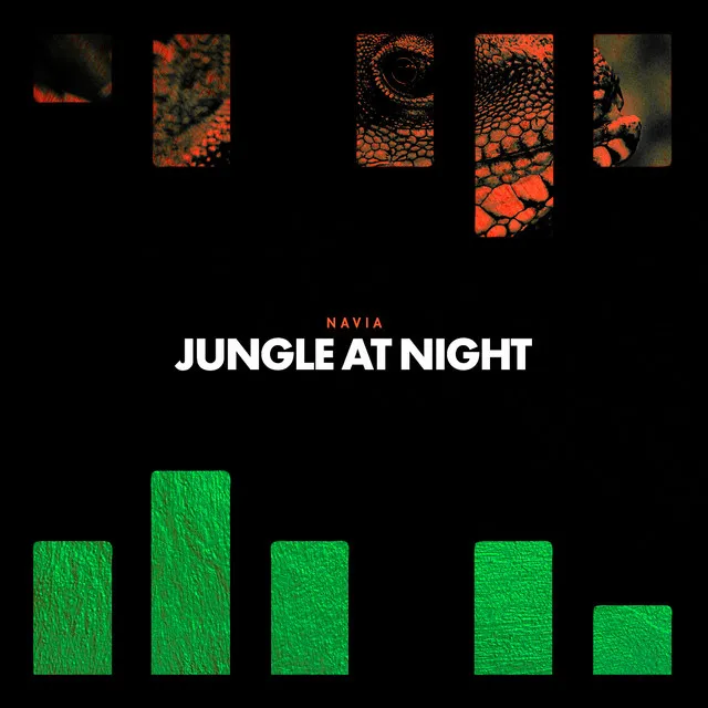 Jungle At Night - Original Mix