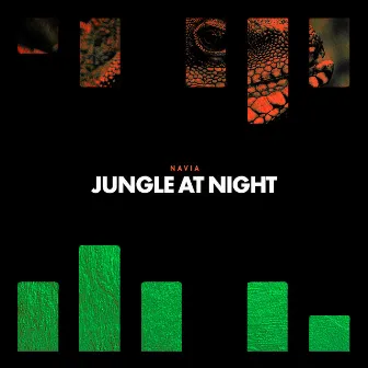 Jungle At Night by Navia