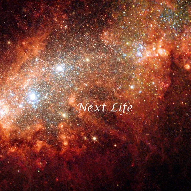 Next Life Remix - 2