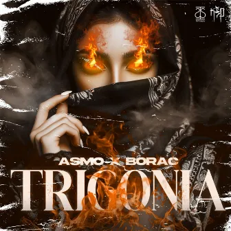 TRIGONIA by BORAC