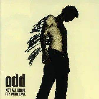 Not All Birds Fly with Ease by odd