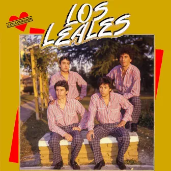 Llora Corazón by Los Leales