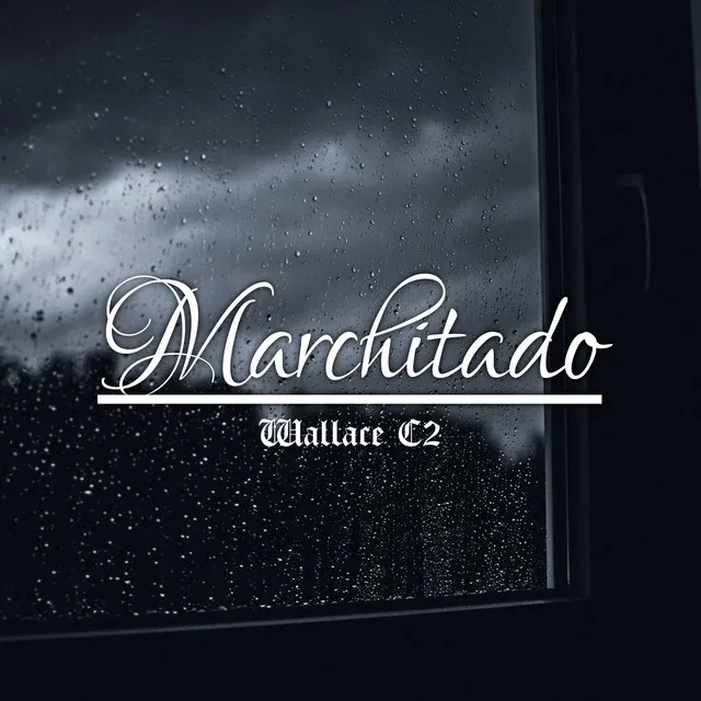 Marchitado