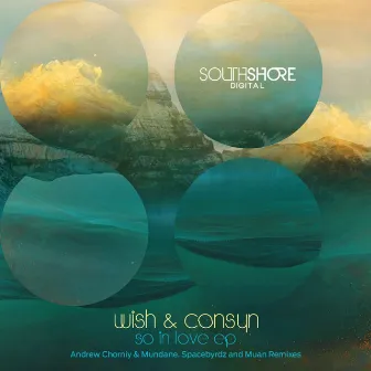 So in Love by Wish & Consyn