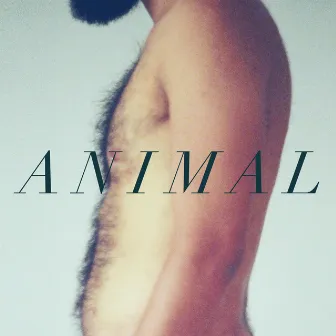 Animal by Mr. Bleat