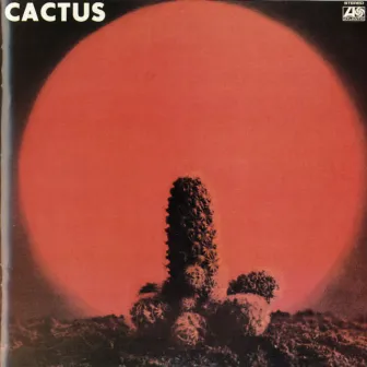 Cactus by Cactus