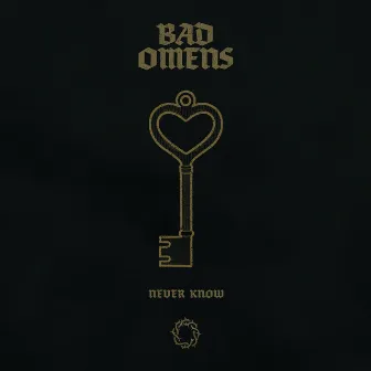 Never Know (Live) by Bad Omens