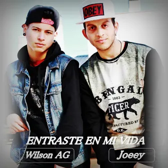 Entraste en mi vida by Wilson AG