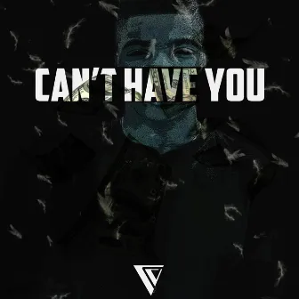 Can't Have You by Vic Lucas