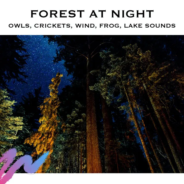 Forest Sounds