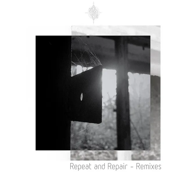 Repeat and Repair - Friends of Hannes Remix