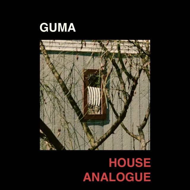 House Analogue