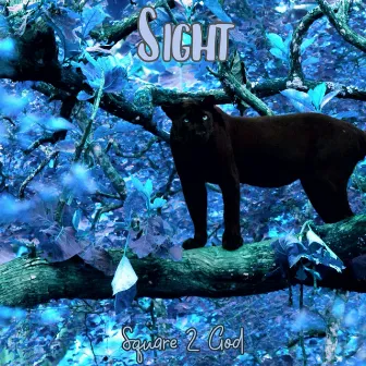 Sight by Square 2 God