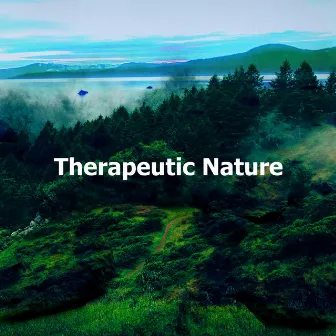 Therapeutic Nature by Sounds of the Jungle