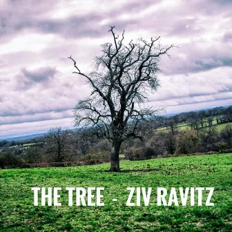 The Tree by Ziv Ravitz