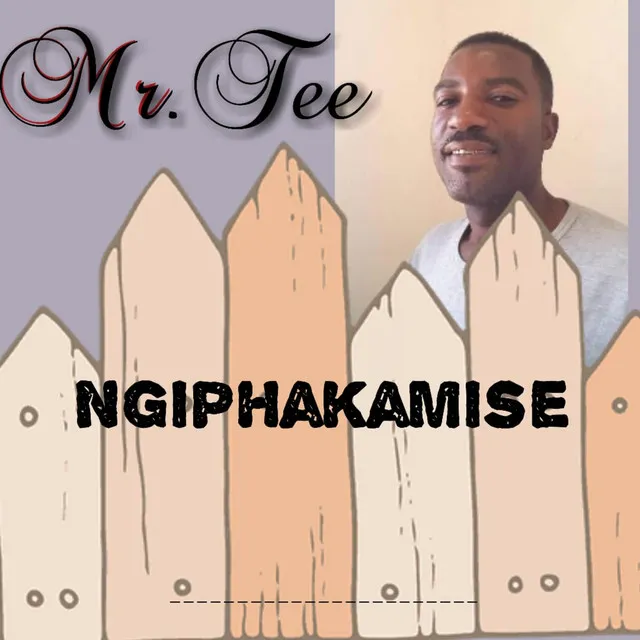 Ngiphakamise