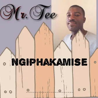 Ngiphakamise by Unknown Artist