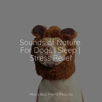 Sounds of Nature For Dogs | Sleep | Stress Relief by Official Pet Care Collection