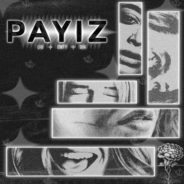 Payiz