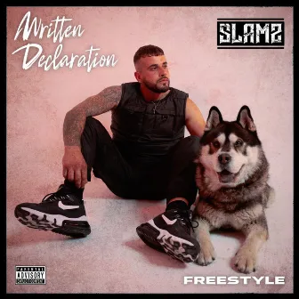 Written Declaration (Freestyle) by SLAMZ