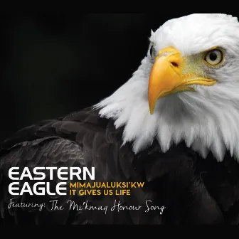 It Gives Us Life: Powwow by Eastern Eagle