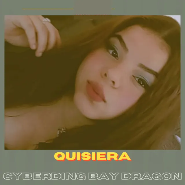 Quisiera