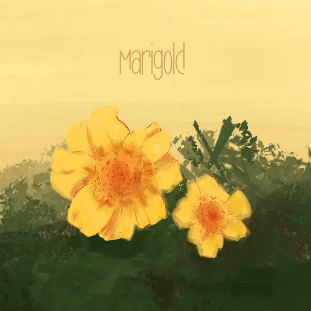 Marigold