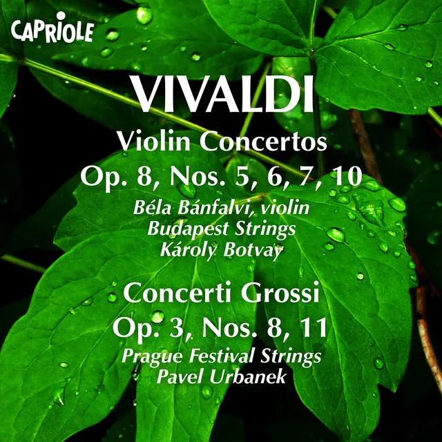 Concerto for 2 Violins in A Minor, Op. 3, No. 8, RV 522: I. Allegro