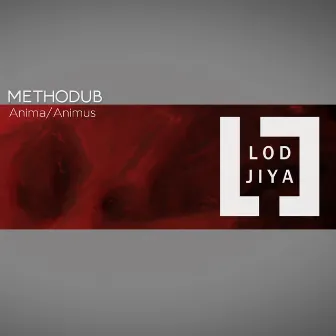 Anima\animus by Methodub