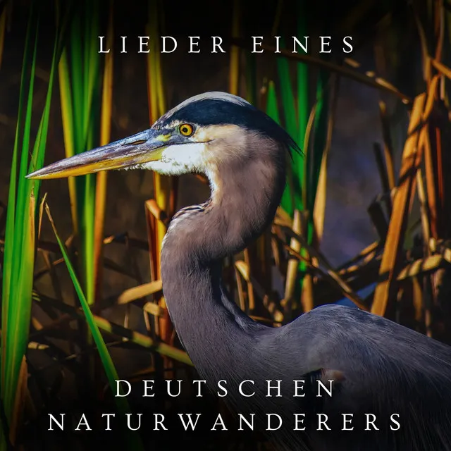 Lieder eines deutschen Naturwanderers