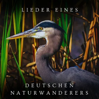 Lieder eines deutschen Naturwanderers by Naturgeräusche