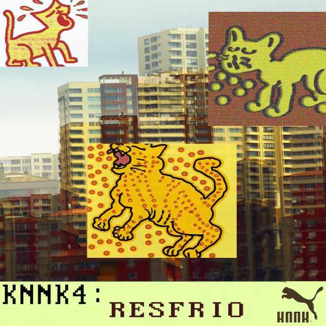 KNNK4: RESFRIO