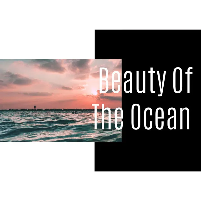 Beauty Of The Ocean