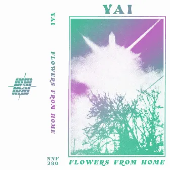 Flowers from Home by YAI