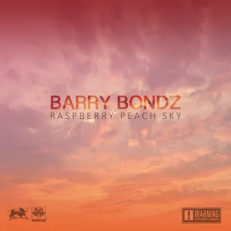 Raspberry Peach Sky by Barry Bondz