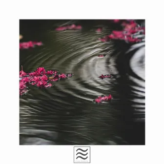 Enjoyful Sleeping Rainfall Sounds by 