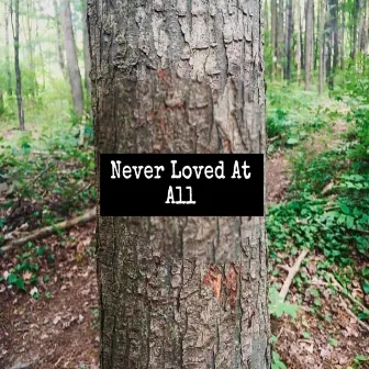 Never Loved At All by Michael Riley