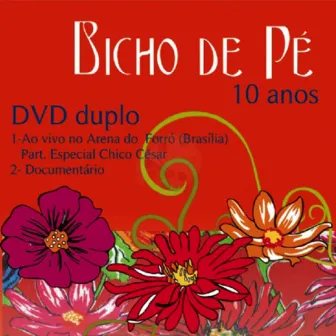 Bicho de Pé 10 Anos - ao Vivo by Bicho de Pé