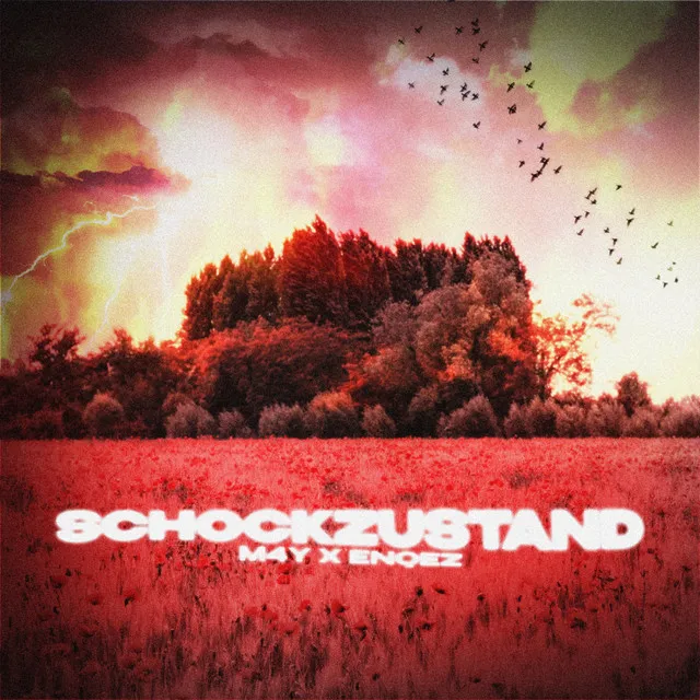 Schockzustand