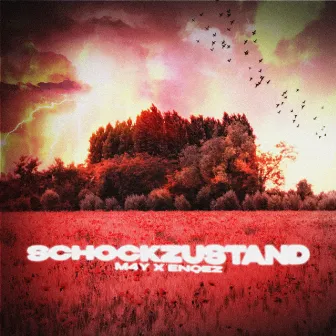 Schockzustand by ENQEZ