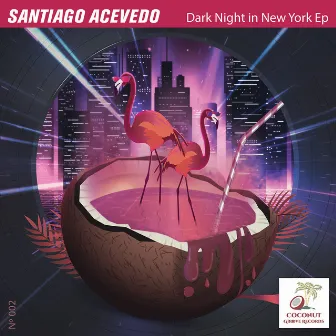 Dark Night in New York Ep by Santiago Acevedo