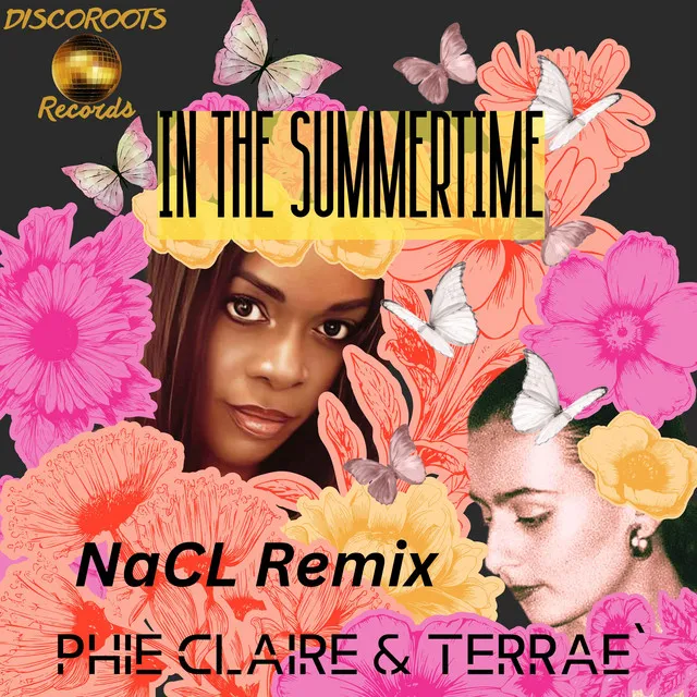 In the Summertime - NaCL Remix Radio Edit